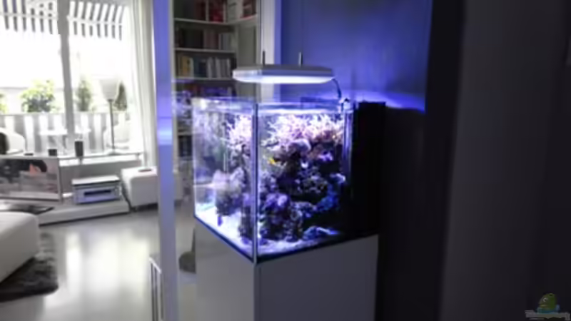 Aquarium Becken 18875 von AquaTropica CGN (4)