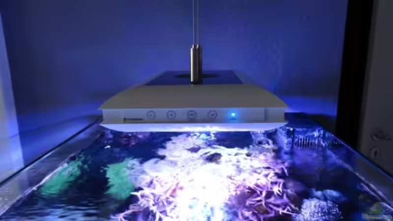 Aquarium Becken 18875 von AquaTropica CGN (6)