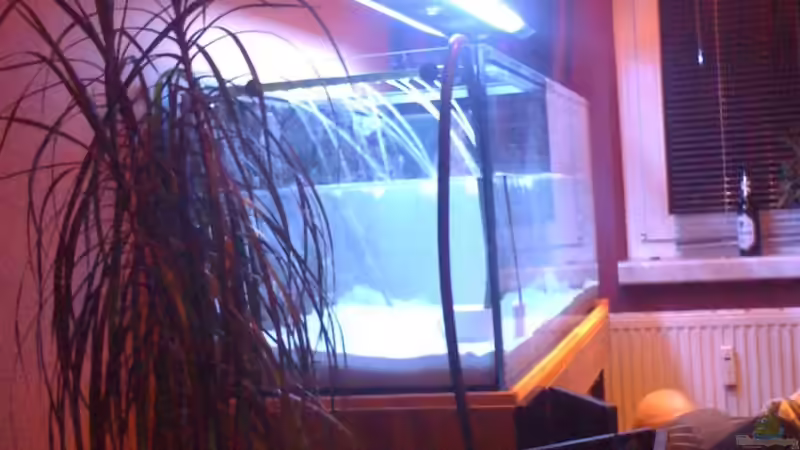 Aquarium Becken 18921 von Solitary (4)