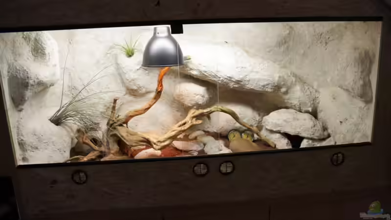 Aquarium Becken 18981 von Marcel Stübs (2)