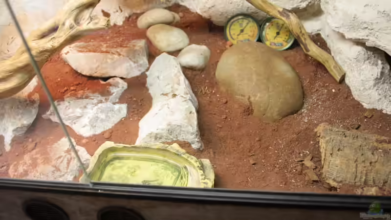 Aquarium Becken 18981 von Marcel Stübs (6)