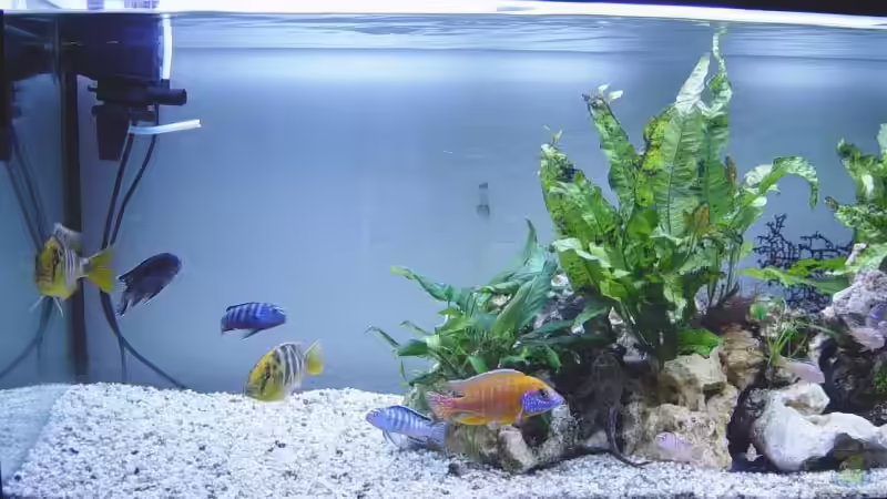 Aquarium Becken 190 von Mario Matthes (2)