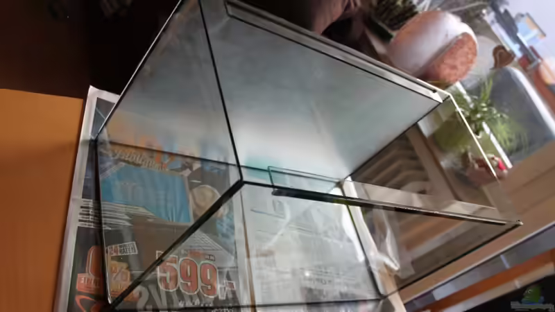 Aquarium Becken 19010 von Stefan F. (3)