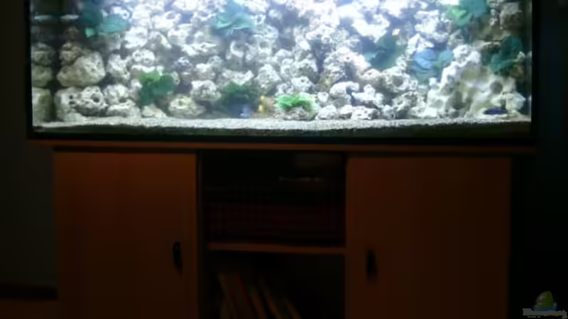 Aquarium Becken 19078 von renehilly (2)