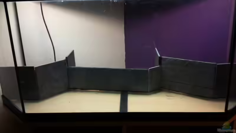 Aquarium Becken 19299 von Andreas Glissmann (8)