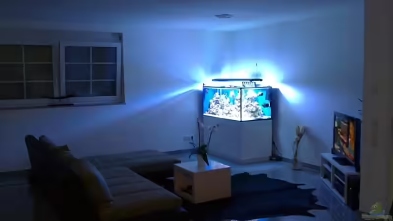 Aquarium Becken 19408 von Andre Walz (2)