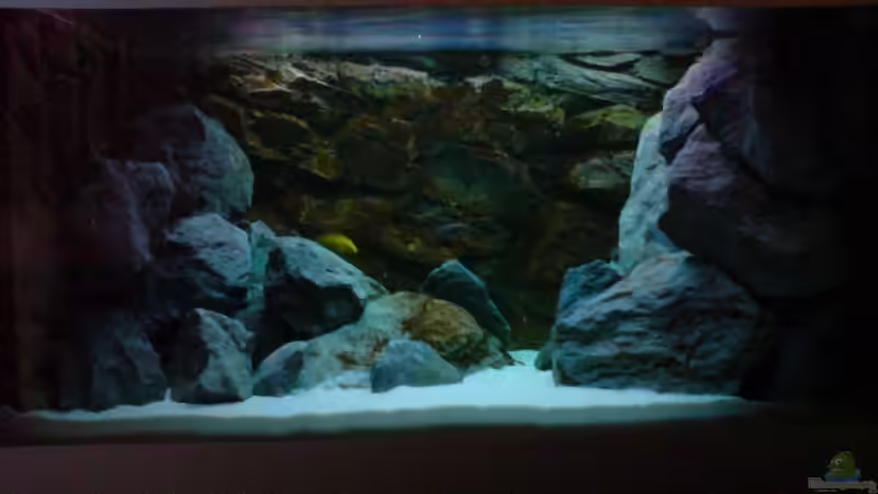 Aquarium Becken 1954 von Clermont (2)