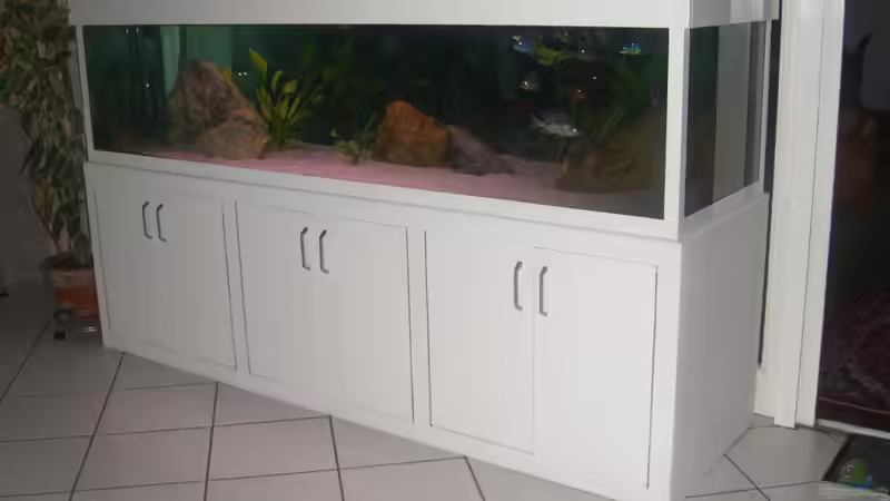 Aquarium Becken 197 von Patrick Gutmann (2)