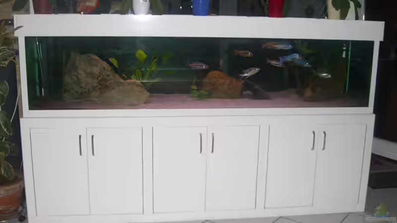 Aquarium Becken 197 von Patrick Gutmann (3)