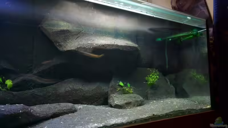 Aquarium Becken 1971 --!!Zum Verkauf!!-- von Tobias Laudenberg (4)