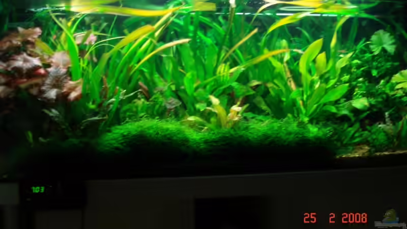 Aquarium Becken 1975 von Dietmar Weinauge (2)