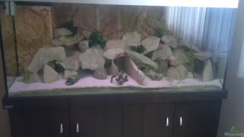 Aquarium Becken 19756 von coupe320i (2)