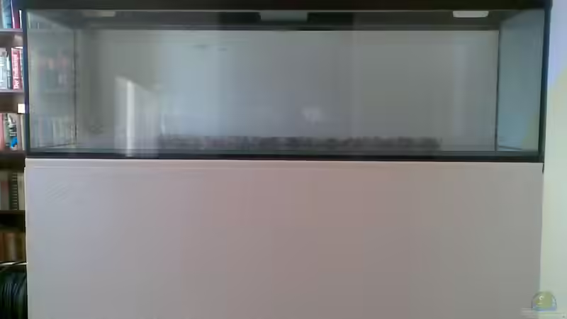 Aquarium Becken 19931 von Korallenriff (2)