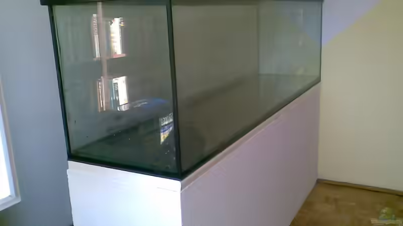 Aquarium Becken 19931 von Korallenriff (3)