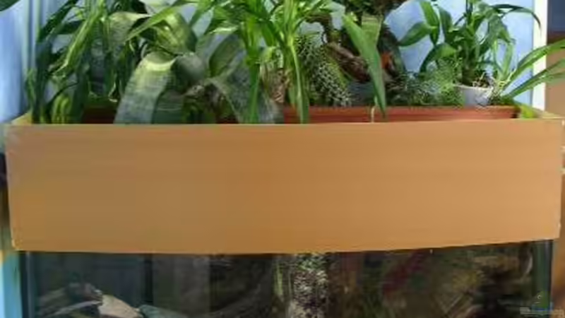 Aquarium Becken 1997 von Felix Pahs (2)