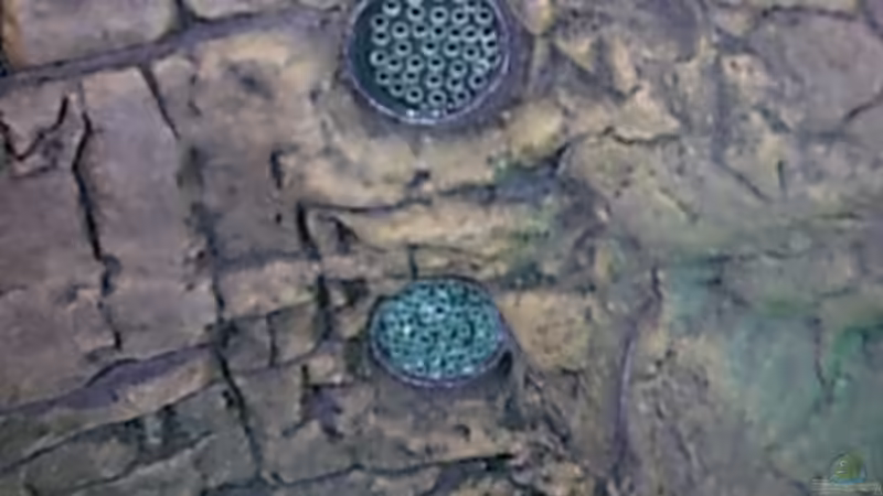 Aquarium Becken 2 von Bulldog1112 (11)