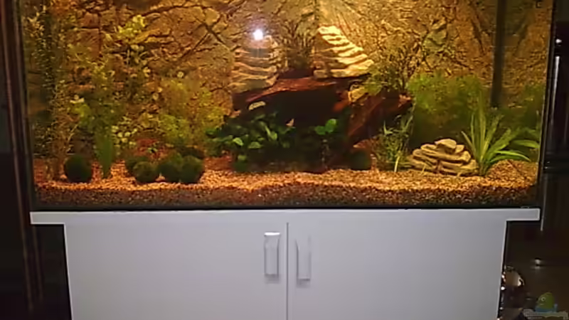 Aquarium Becken 2 von Bulldog1112 (12)