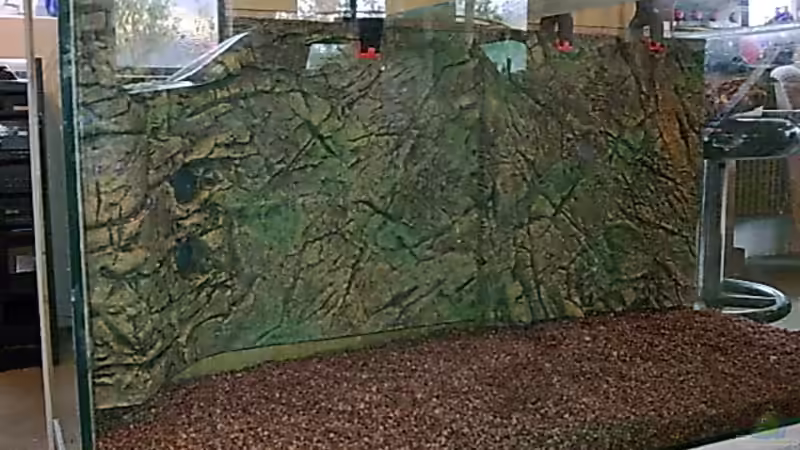 Aquarium Becken 2 von Bulldog1112 (8)