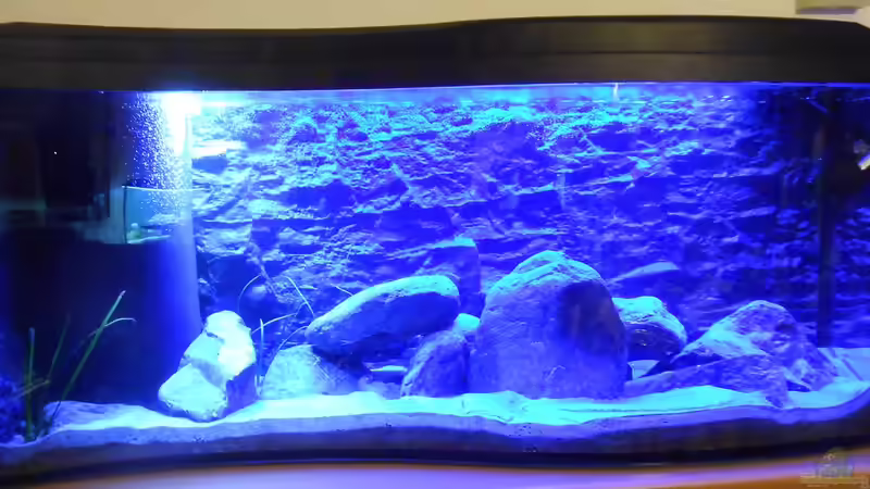 Aquarium Becken 2 von Rolf D (2)