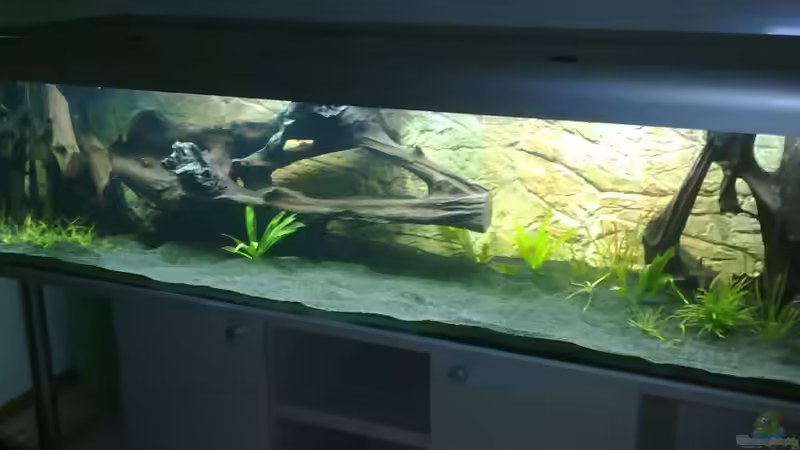 Aquarium Becken 20004 von Blue2 (3)