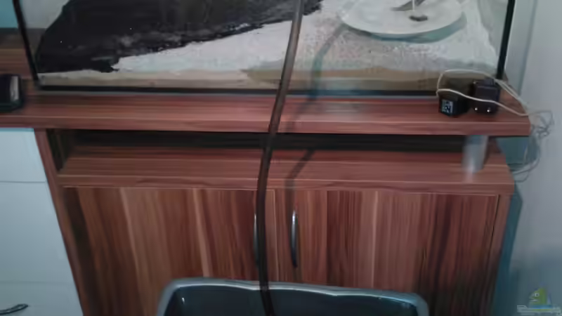 Aquarium Becken 20217 von ehemaliger User (9)