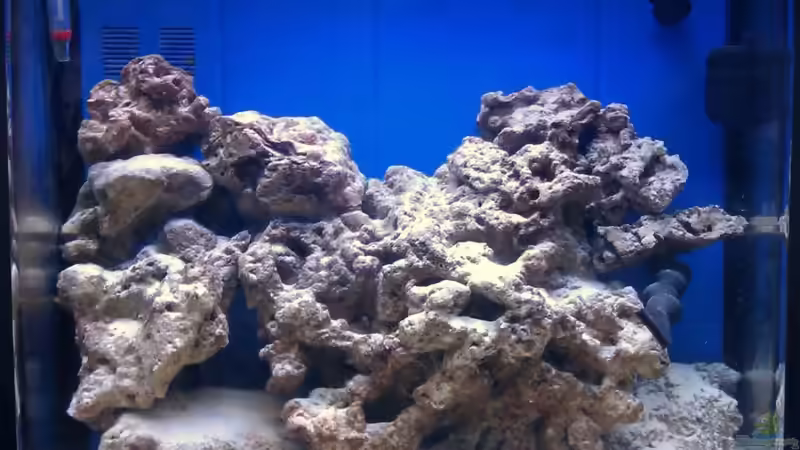 Aquarium Becken 20377 von Rene Rohrer (4)