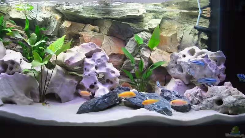 Aquarium Becken 2043 von Marco Wiesner (2)