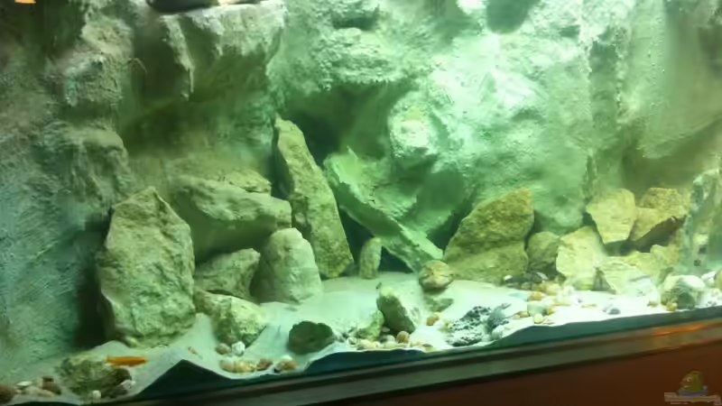 Aquarium Becken 205 von Dirk Beßler (5)