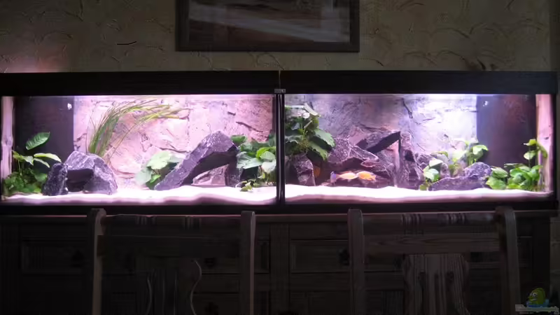 Aquarium Becken 20588 von MAGNUM (2)