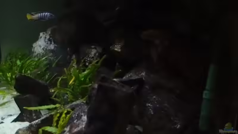 Aquarium Becken 20933 von joseppe (5)