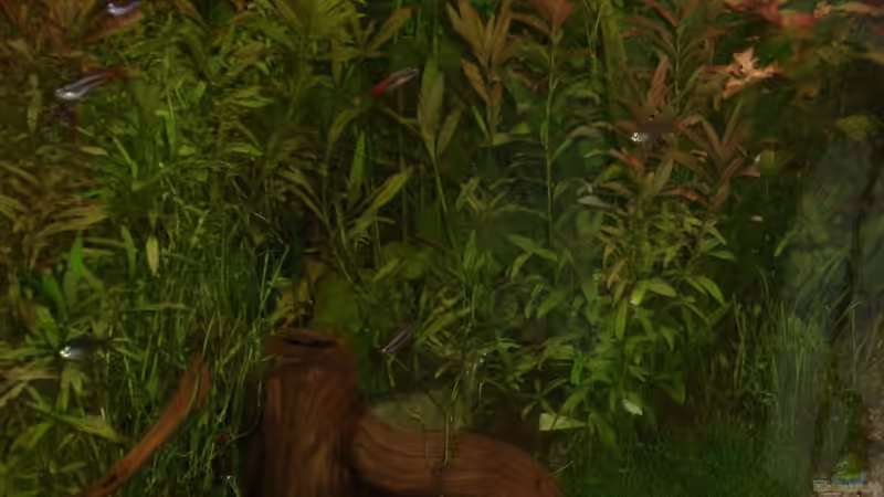 Aquarium Becken 21386 von qmman (3)