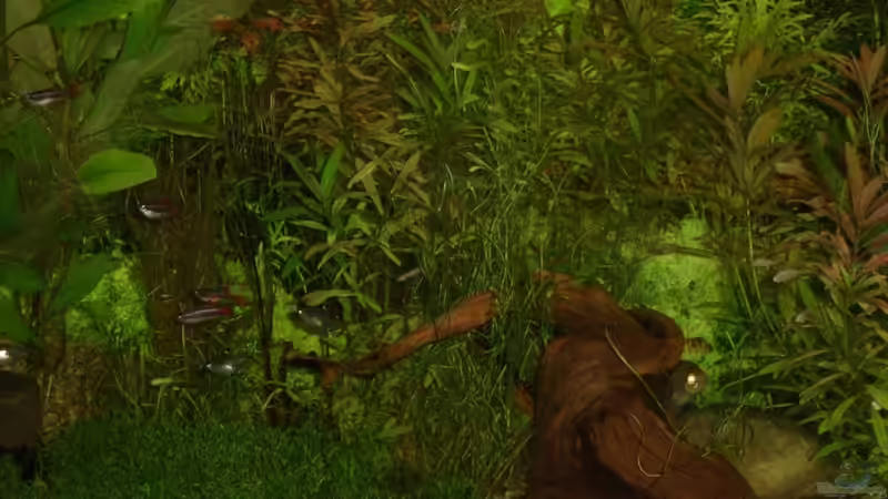 Aquarium Becken 21386 von qmman (7)