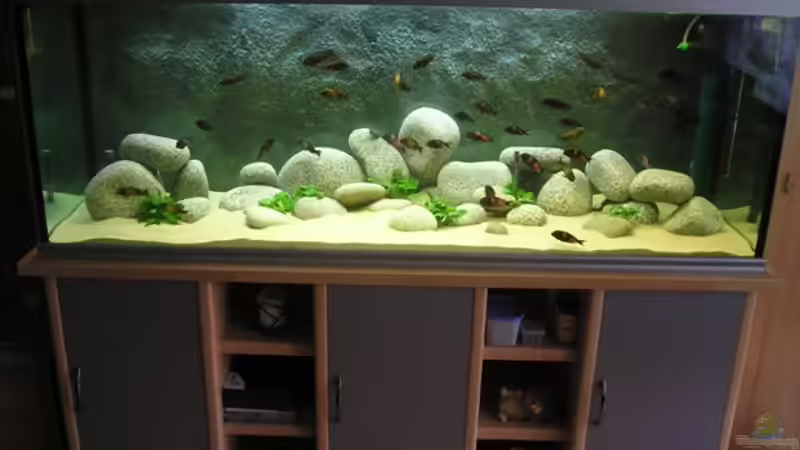 Aquarium Becken 2178 von Marcus Mertens (2)