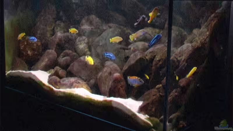 Aquarium Becken 2188 von Tilo Schmiedl (4)