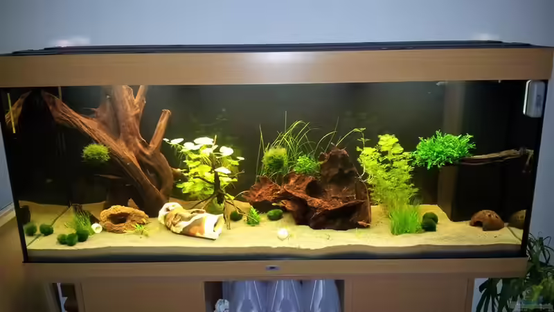 Aquarium Becken 21962 von Putzi (2)