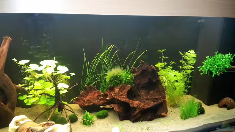 Aquarium Becken 21962 von Putzi (5)