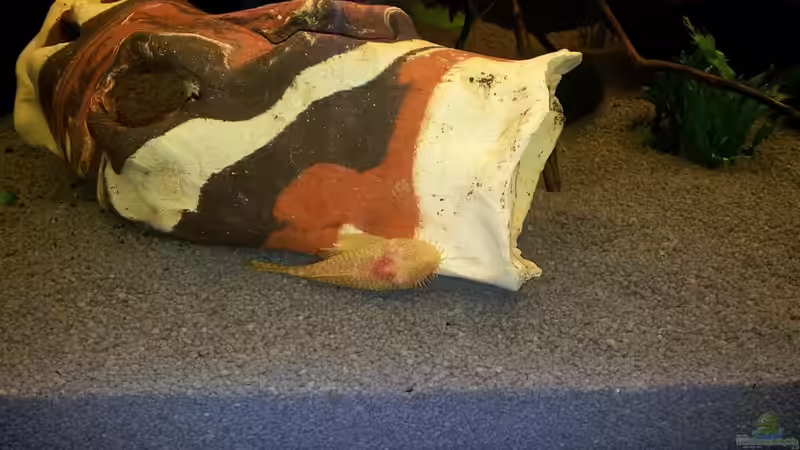 Aquarium Becken 21962 von Putzi (8)