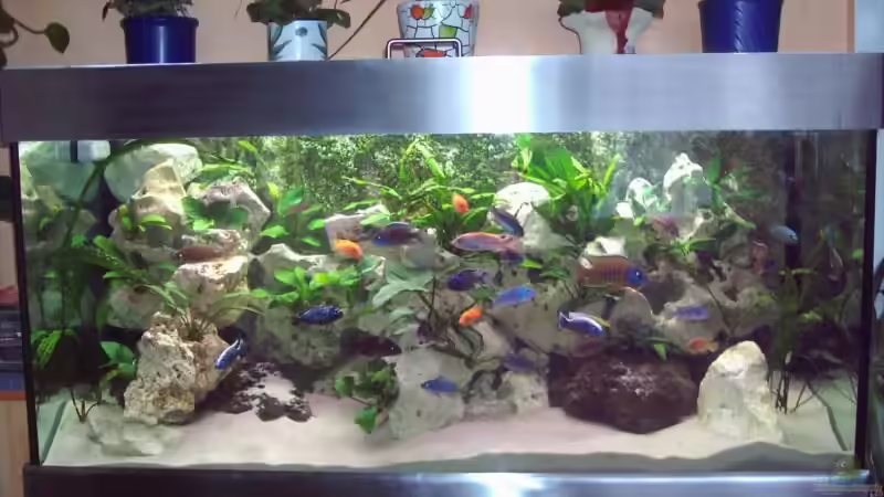 Aquarium Becken 2238 von Melli Hahn (3)