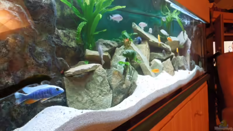 Aquarium Becken 22405 von ehemaliger User (6)