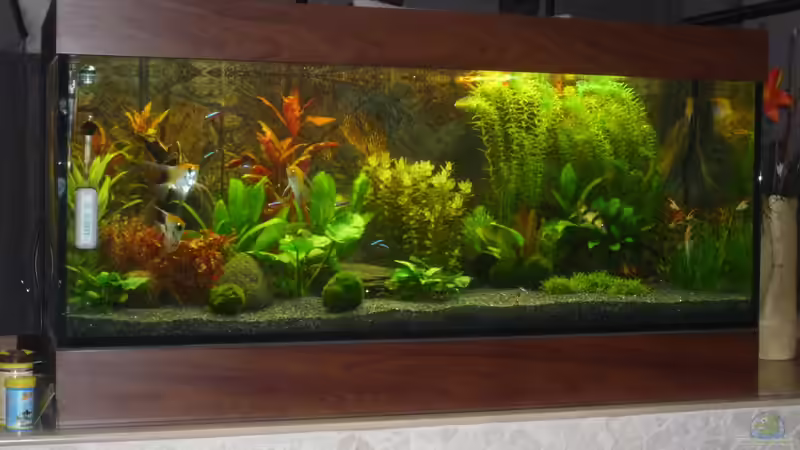 Aquarium Becken 22527 von Björn Heuer (2)