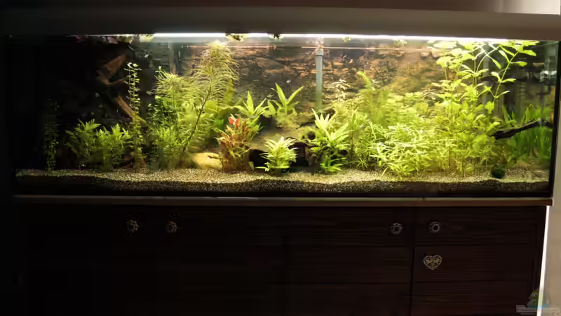 Aquarium Becken 22655 von Hot (2)