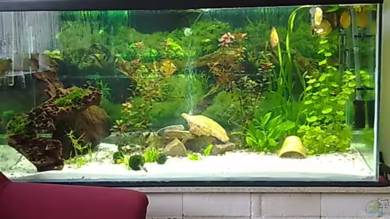 Aquarium Becken 22683 von Uschi32 (2)