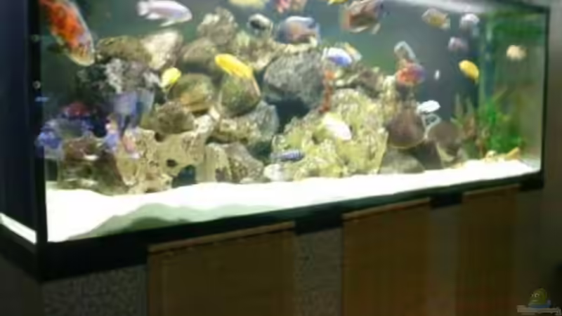 Aquarium Becken 22860 (nur noch als Beispiel) von MADNESS1.0 (4)