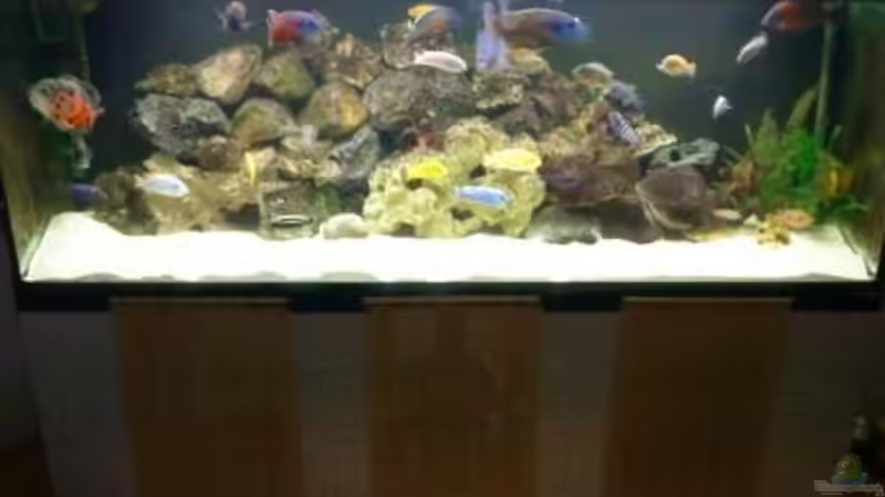 Aquarium Becken 22860 (nur noch als Beispiel) von MADNESS1.0 (5)