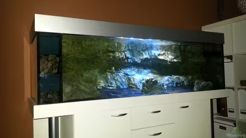 Aquarium Becken 22990 STEHT ZUM VERKAUF !!! von ~MISCHA WILKEN~ (2)