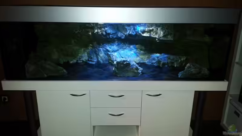 Aquarium Becken 22990 STEHT ZUM VERKAUF !!! von ~MISCHA WILKEN~ (3)