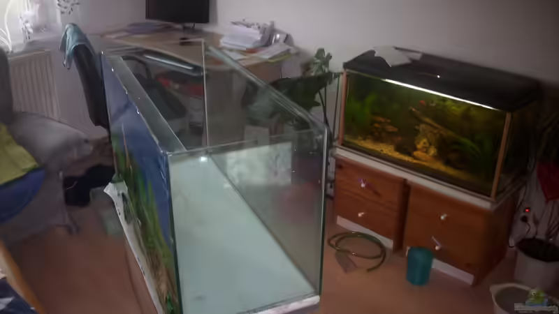 Aquarium Becken 23166 von Dal3838 (2)