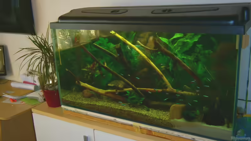 Aquarium Becken 23166 von Dal3838 (4)