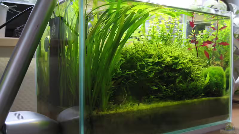 Aquarium Becken 2332 von Christian Stoff (4)