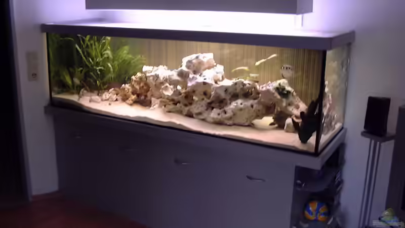 Aquarium Becken 234 von Frank Sanné (2)